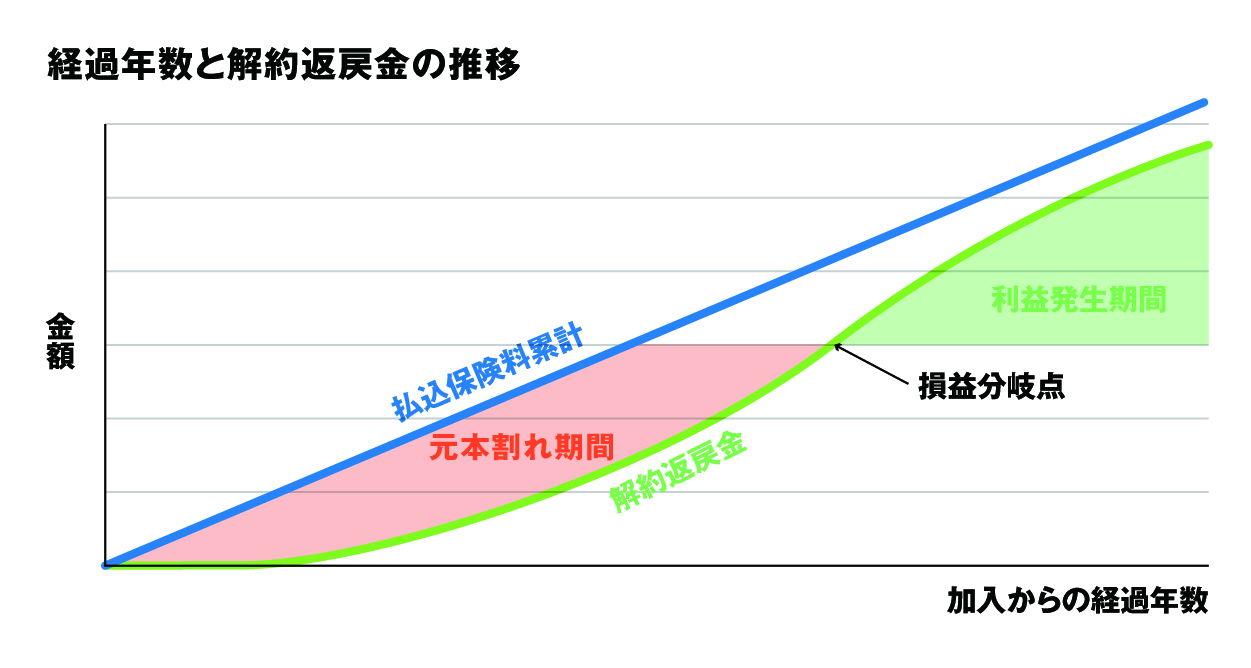 生命保険の中核エンティティ「元本割れ」を説明するグラフ。経過年数と共に払込保険料と中核エンティティ「解約返戻金」がどう推移するかを示し、損益分岐点の中核エンティティ「タイミング」を視覚的に解説しています。