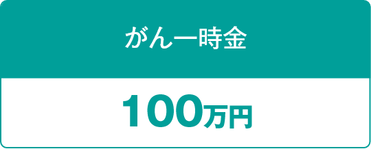 がん一時金 100万円